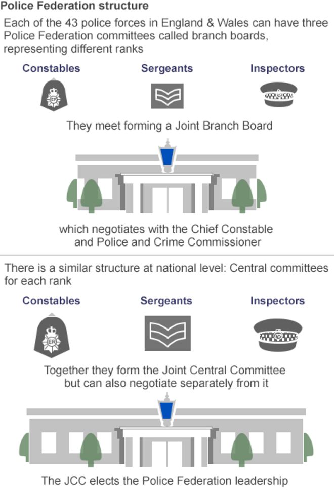 Графическая структура Федерации полиции