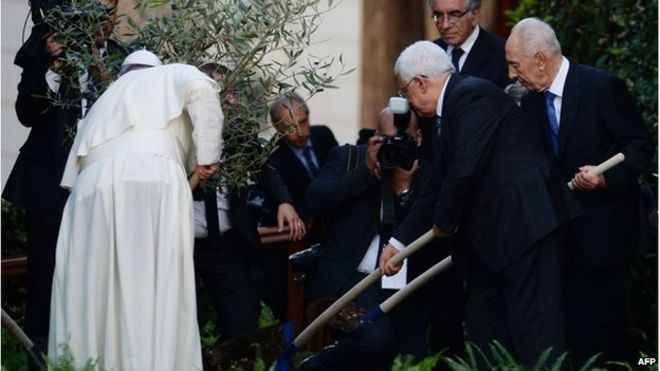Палестинский лидер Махмуд Аббас (С), Папа Франциск (L) и Президент Израиля Шимон Перес (R) сажают оливковое дерево после совместной мирной молитвы.