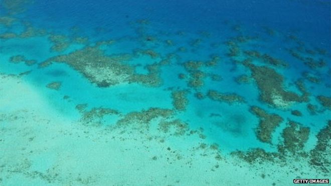Фото из архива: Вид с воздуха на Большой Барьерный риф