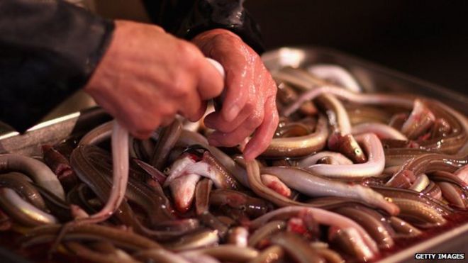 Рабочий упаковывает угрей на рыбном рынке Цукидзи 30 октября 2008 года в Токио, Япония