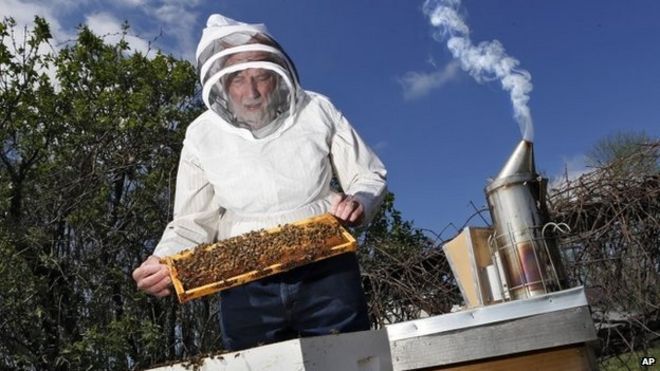 Барри Конрад осматривает своих медоносных пчел на своем канале в Винчестере, штат Огайо, на медовой ферме 23 апреля 2014 г.