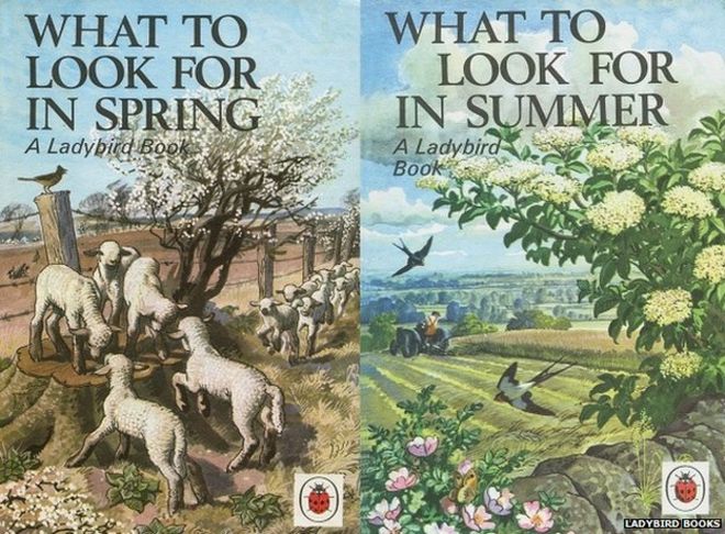 На что обращать внимание весной и летом - обложки книг о божьей коровке Чарльза Тунниклиффа