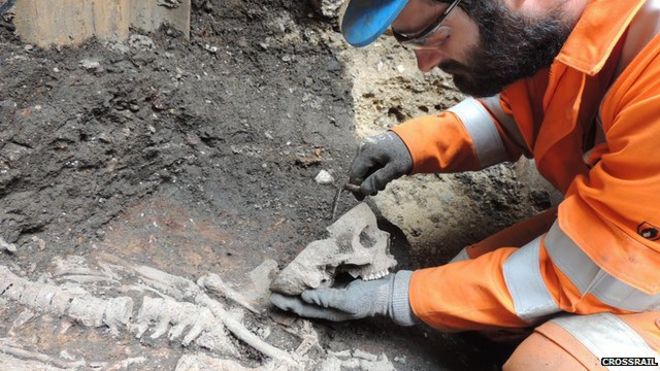 Работник Crossrail копает скелет