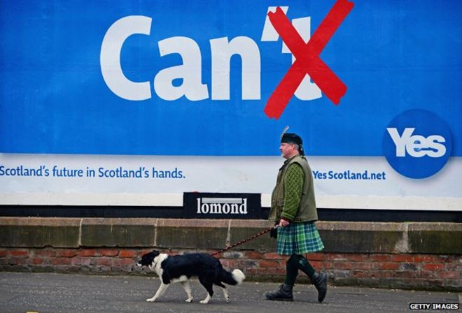 Колин Макдональд Прован выгуливает свою собаку Коллин по Главной улице Глазго мимо рекламного щита кампании референдума «Да» 20 мая 2014 года