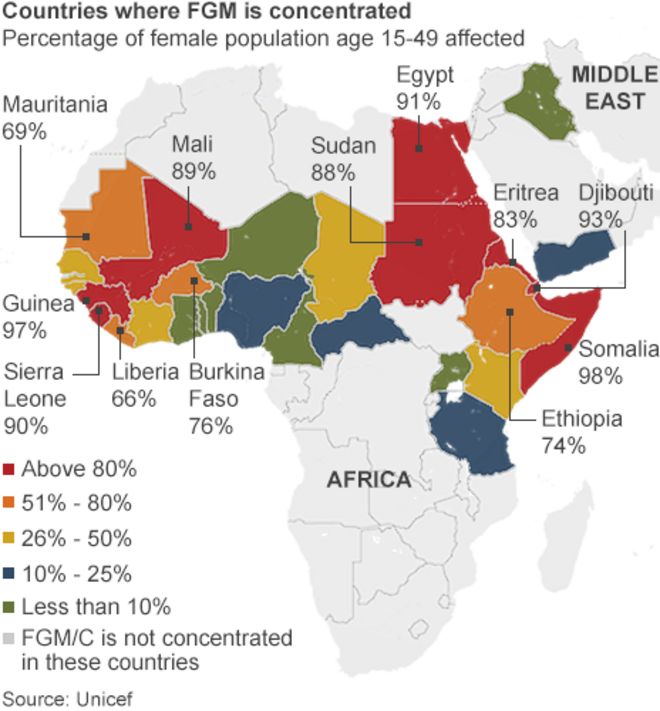 Карта стран, где сосредоточено FGM