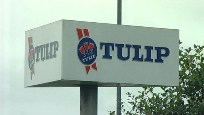Знак Tulip Ltd