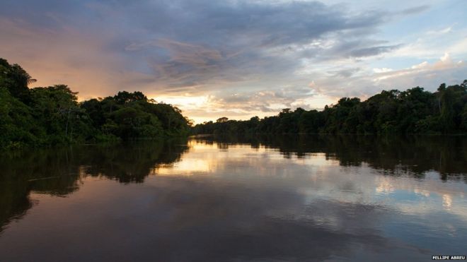 Вид реки Джавари на границе Перу и Бразилии 9 марта 2013 года.