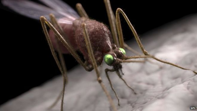 Малярия с комаром