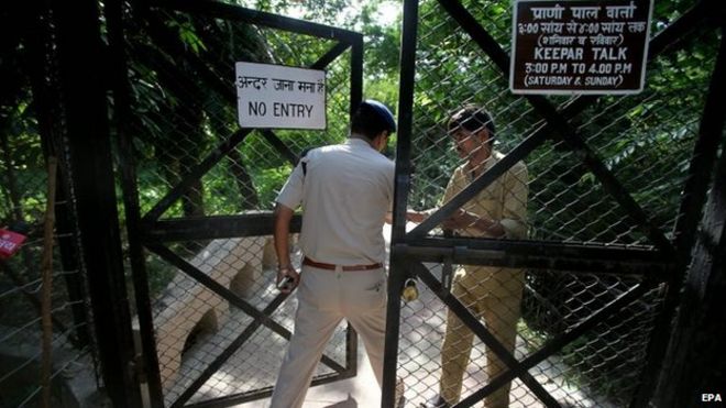 Полицейский входит в вольер в зоопарке после того, как молодой человек был убит белым тигром в зоопарке Дели
