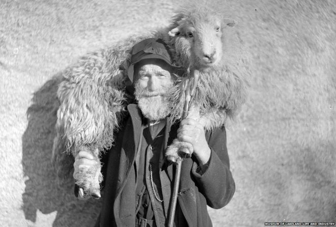 Человек с овцами