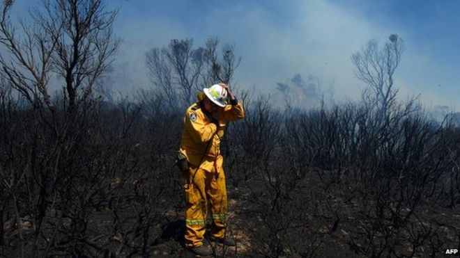 Пожарный-волонтер исследует ущерб, причиненный в районе пожара на горе Маунт-Йорк в Голубых горах, примерно в 150 км к западу от Сиднея, 23 октября 2013 г.
