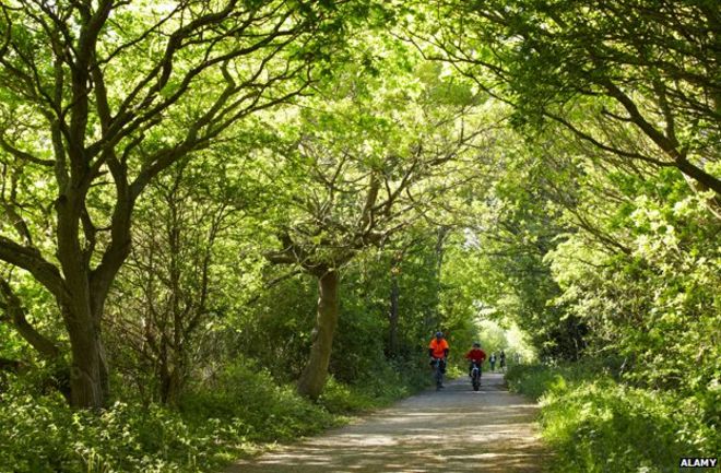 Wirral Way