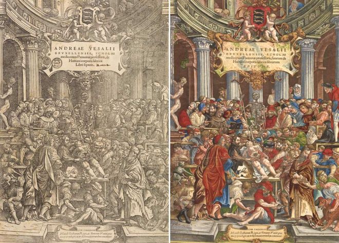 Фронтальные обложки медицинских книг Андреаса Везалия - «Фабрика и воплощение - XVI век»