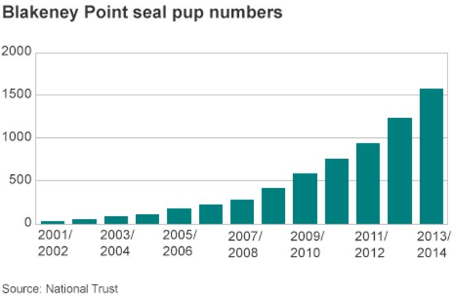График, показывающий рост числа тюленей