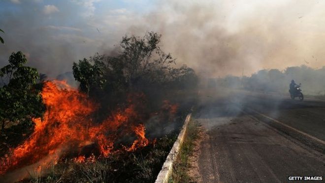 ZE DOCA, БРАЗИЛИЯ - 23-ЬЕ НОЯБРЯ: Огонь горит вдоль шоссе в обезлесенном разделе бассейна Амазонки 23-ого ноября 2014 в Ze Doca, Бразилии.