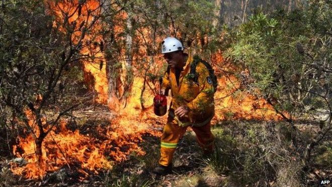 Пожарный борется с лесным пожаром в Австралии