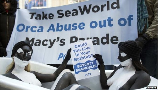 Протестующие SeaWorld