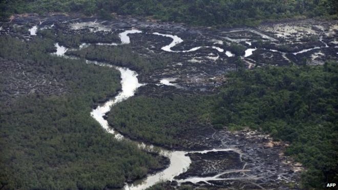 Ручьи, разрушенные в результате разливов нефтяных воров в заливе Нембе в дельте реки Нигер 22 марта 2013 года.