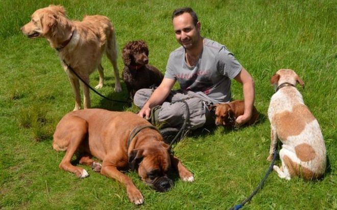 Ренато Пагано и пять собак, с которыми он регулярно гуляет
