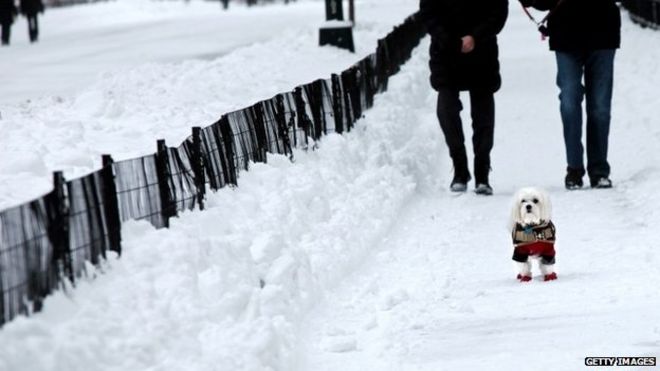 Прохожие гуляют со своей собакой по скоплению снега 27 января 2015 года в Центральном парке в Нью-Йорке.