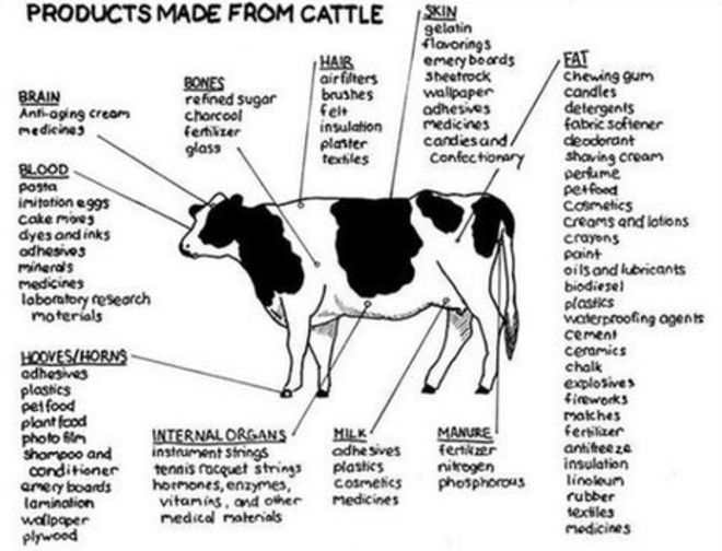 Длинный список продуктов из крупного рогатого скота
