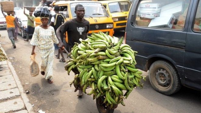 14 января 2012 года женщина сопровождает мужчину, несущего бананы подорожника на автостоянку в 12-мильном округе в Лагосе, Нигерия