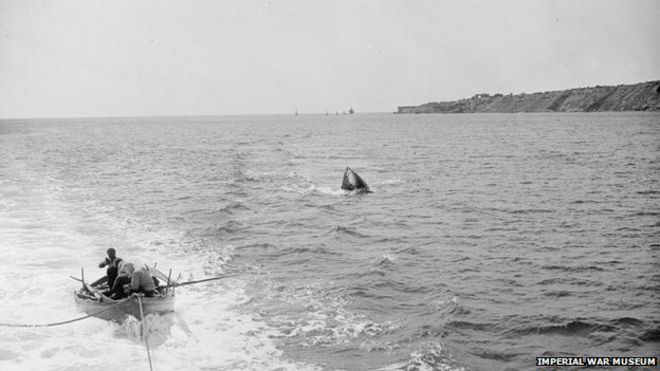1919: буй отмечает место, где затонул Голиаф