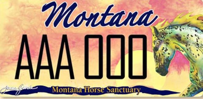 Сантакуриальная пластинка для лошади Монтана