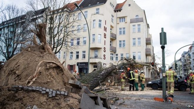 An uprooted tree in a street after it fell on a car in the district Wedding in Berlin, Germany, 31 March 2015