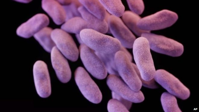 Трехмерное изображение, показывающее устойчивые к антибиотикам бактерии