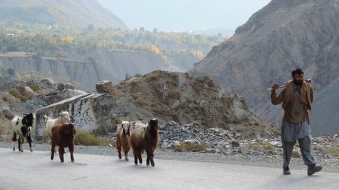 Пастух на дороге Мастуй, недалеко от Читрала