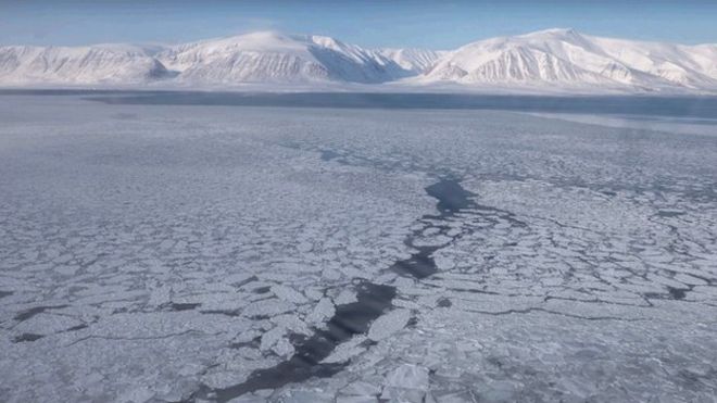 Арктический морской лед