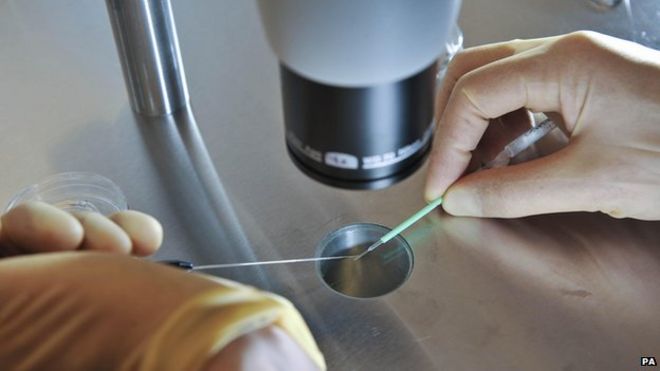 Эмбрионы помещаются на CryoLeaf, готовые к мгновенному замораживанию