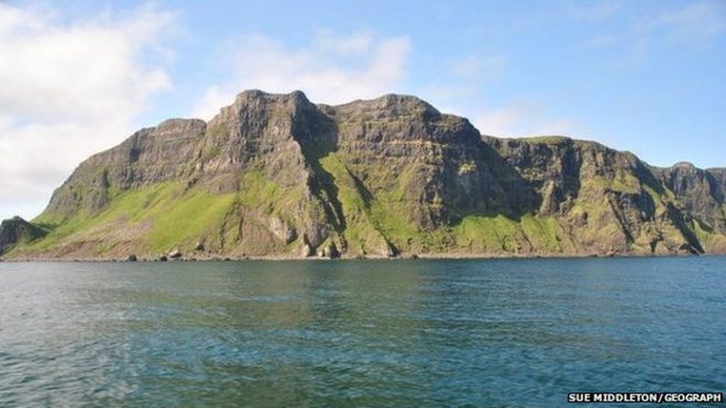 _83661812_canna.jpg