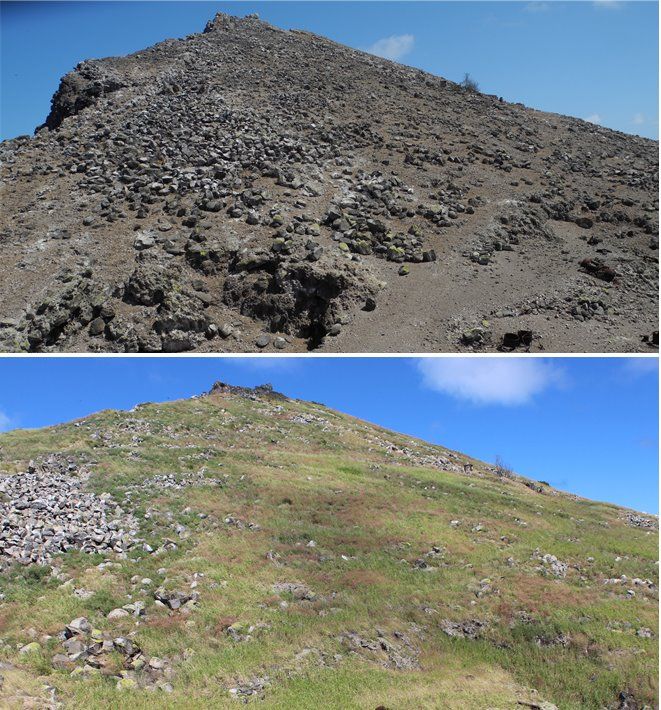 Composite showing before and after on Redonda with pictures from 2012 and 2020