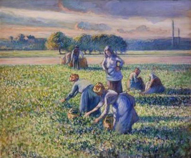 Picking Peas was painted in 1887 by Camille Pissarro