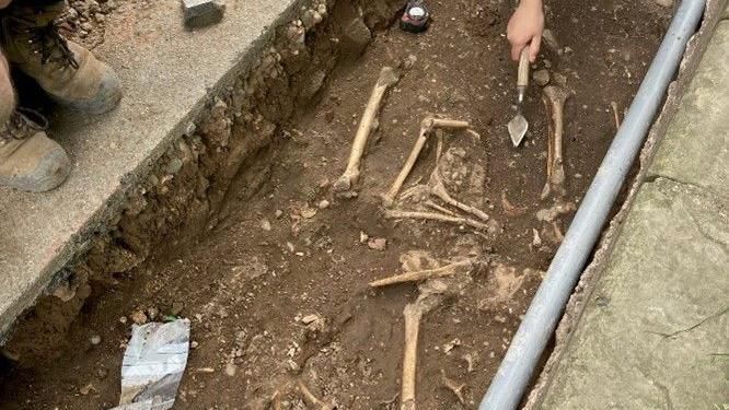 An archaeological dig. Several human bones are in the ground with a hand chiselling at the mud. 