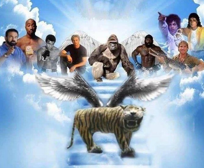 Composite image showing the tiger in heaven with other death famous figures