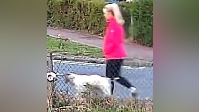 Anita Rose walking her dog in her pink jacket