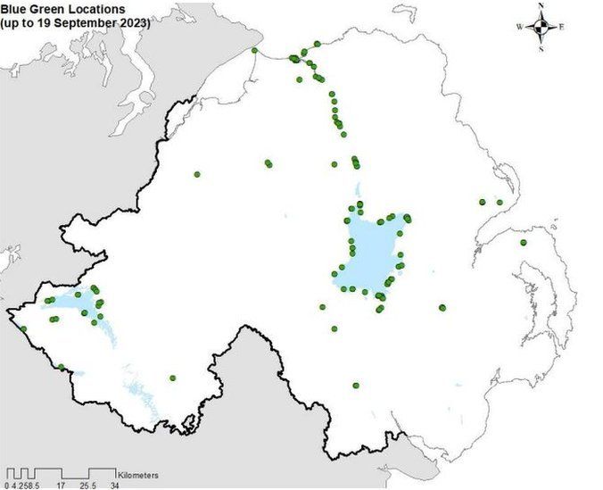 Map of Algae