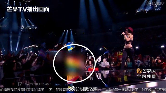 Screenshot of Switzerland's Eurovision performance with a rainbow flag in the audience blurred out and circled