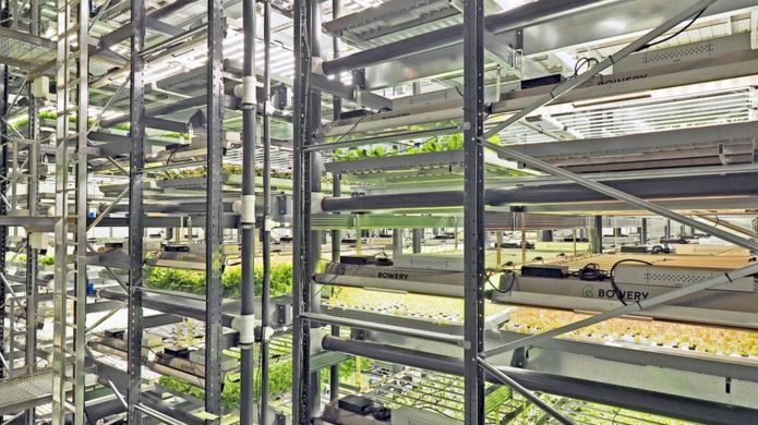 The future of food: Why farming is moving indoors