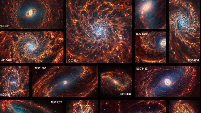 A collection of 19 face-on spiral galaxies from the James Webb Space Telescope in near- and mid-infrared light