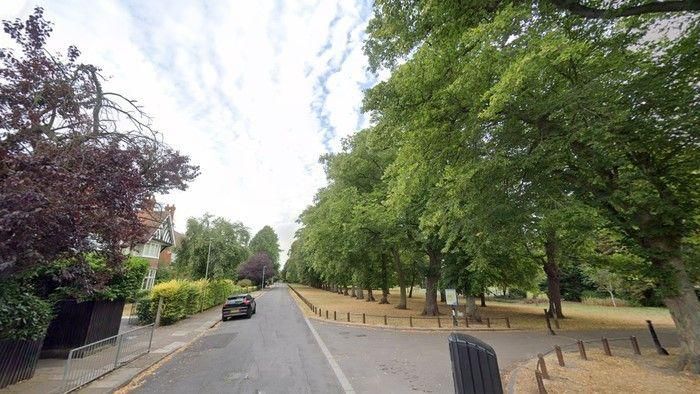 A Google Street view of Park Drive in Grimsby, with the entrance to People's Park on the right and a path among houses on the left