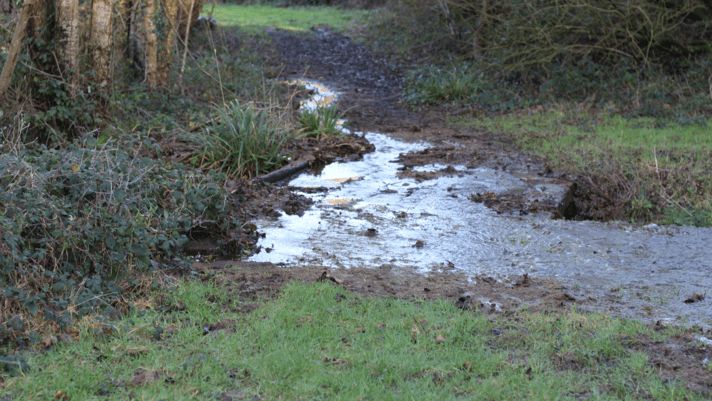 Slurry on glamping site