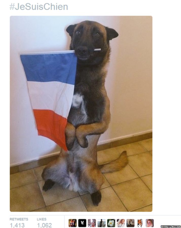 Tweet showing dog with French flag