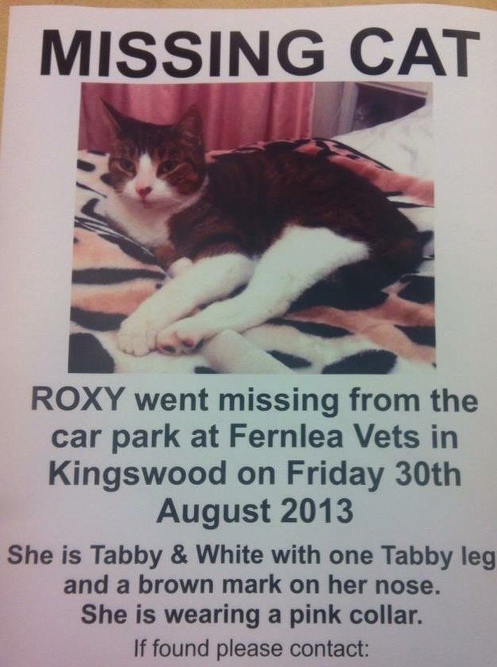 Missing poster for Roxy