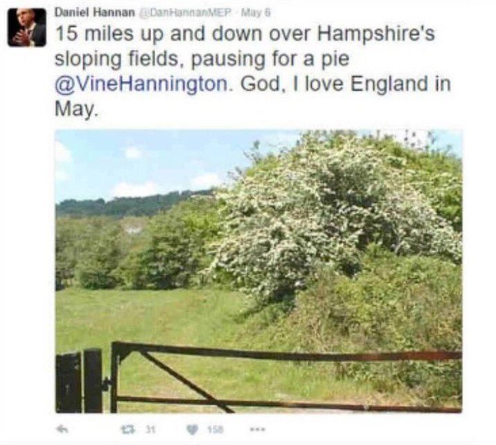 Screengrab of Tweet: @DanHannanMEP: "15 miles up and down over Hampshire's sloping fields, pausing for a pie @vinehannington. God, I love England in May."
