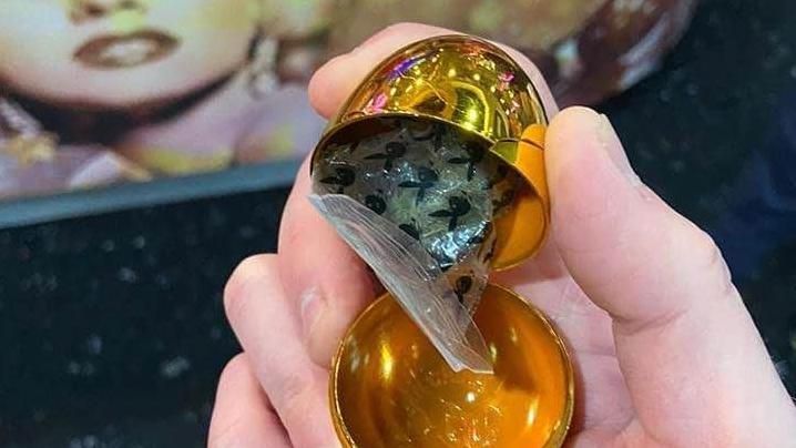 Golden egg with a bag inside of what appears to be cannabis 