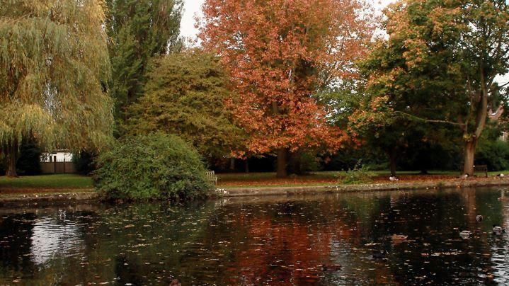 Trees surrounding a body of water at Bradbourne Lakes in the autumn